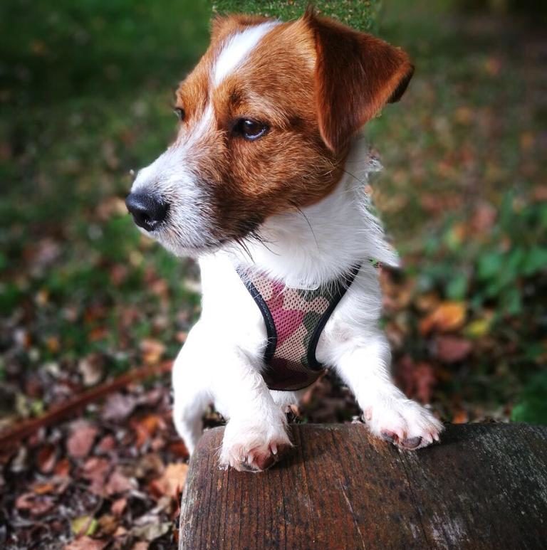 WhatsApp Image 2022-07-16 at 14.08.01